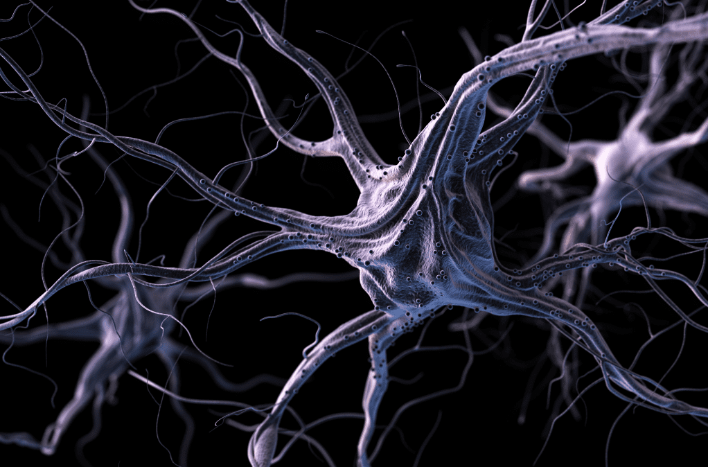 Biohacking for Beginners, evolvere, biohacking, nootropics