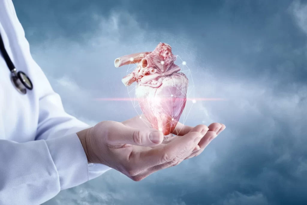 protected heart model in doctors hand