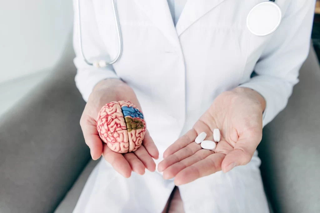 cropped view of a doctor holding model of the brain.