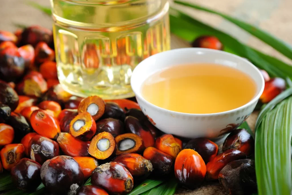 Fresh palm fruit with palm kernel oil.