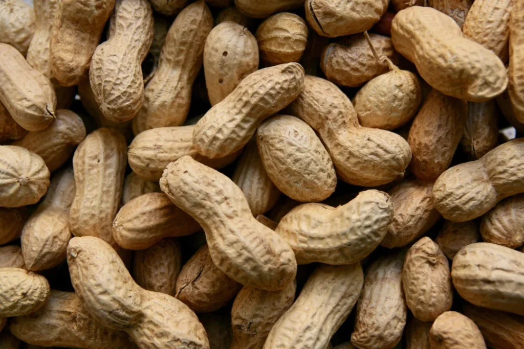 Peanuts. 