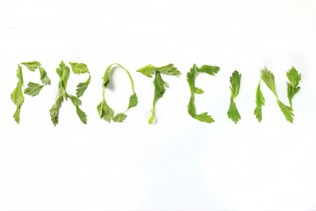 Protein. 