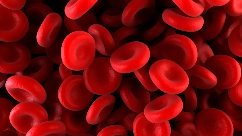 Healthy red blood cells. 