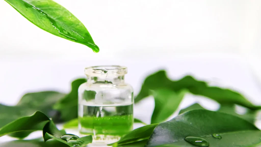 Tea tree oil for healthy skin. 