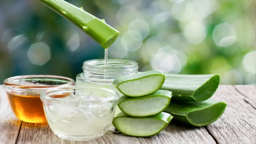 Aloe vera gel for skincare